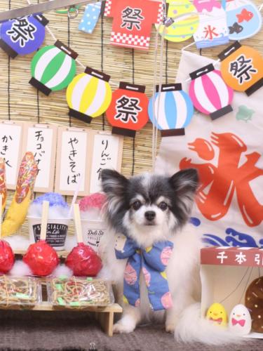 20240703ミルクくん